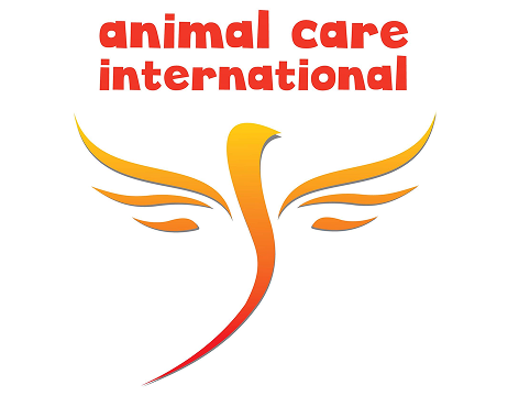 Animal Care International